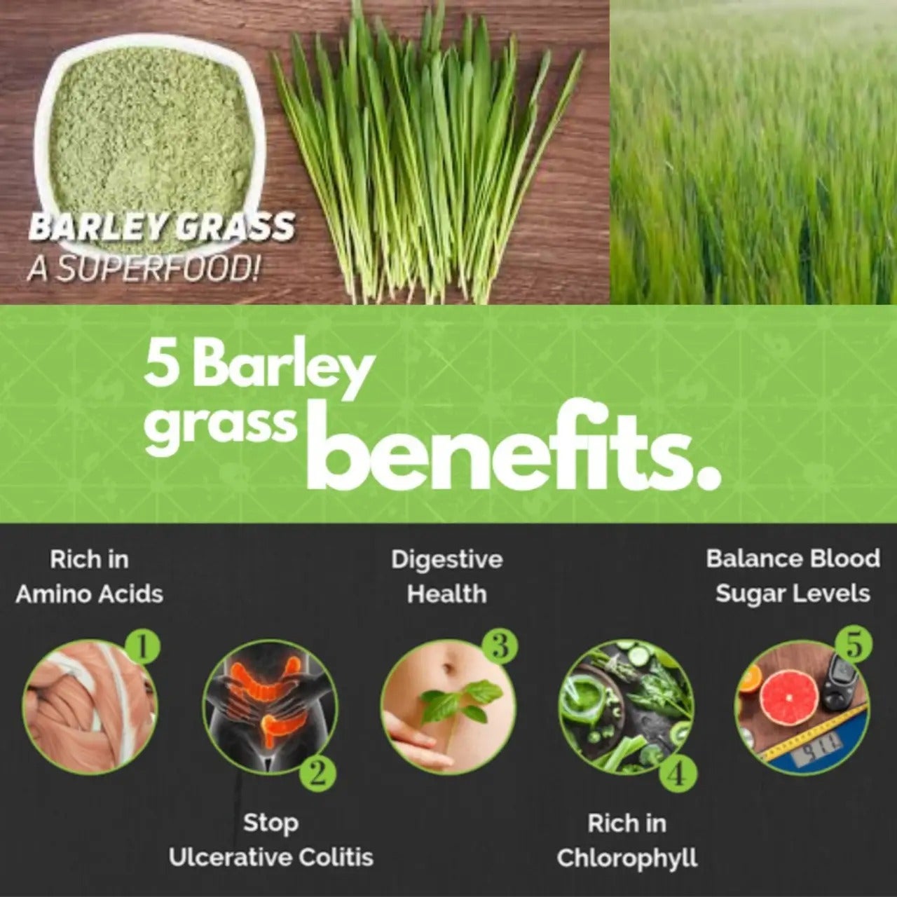 Fitgum Organic Barley
