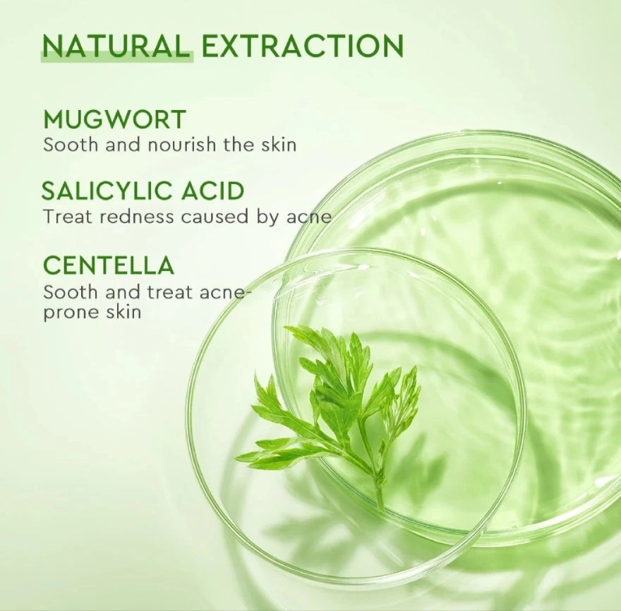 Glad2Glow Mugwort Salicylic Acid Acne Clay Stick 25g