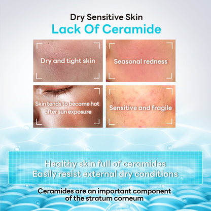 Papafeel Moisturizer Ceramide (Blue)