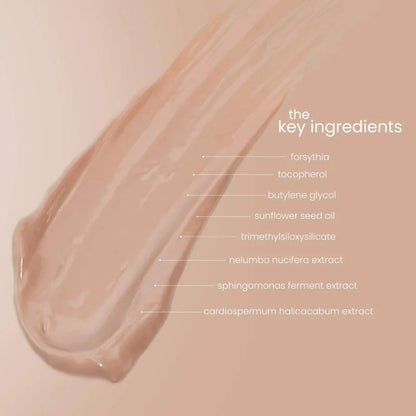 Fairy Skin Premium Tinted SunScreen